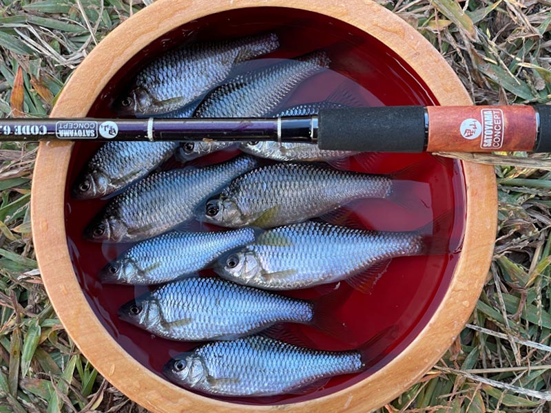 SATOYAMA CONCEPT（里山コンセプト）｜SATOYAMA タナゴ竿