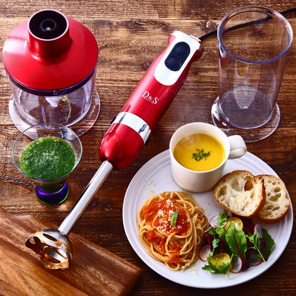 ブレンダ― D&S ハンドブレンダー – ハウジー