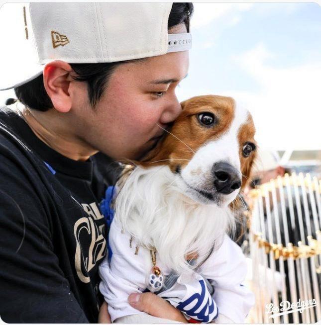 デコピンの肉球かわいい」大谷翔平に抱っこされキラリ 特定する愛犬家
