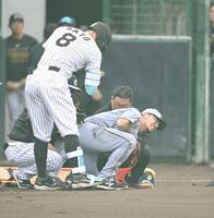 侍ジャパン入り阪神・中野 決意の背番号「7」 佐藤輝からメッセージに