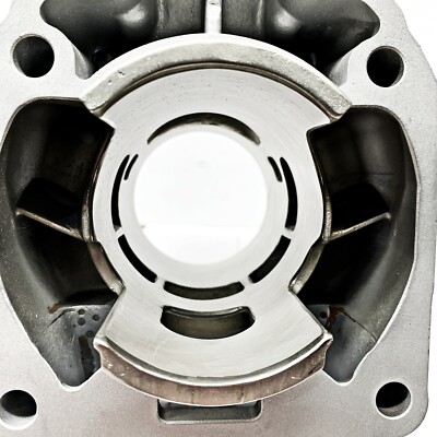 Ported Ski-Doo MXZ X 600RS XRS XP XS Cylinder 12-15 420623482