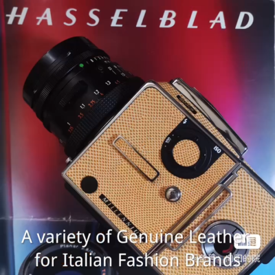 AMANDA--Hasselblad 500 501 503 C CM CW CXI Cowhide Leather Skin