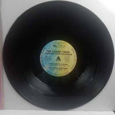 The Lizard Train – Thirteen Hour Daydream Vinyl LP89 | eBay