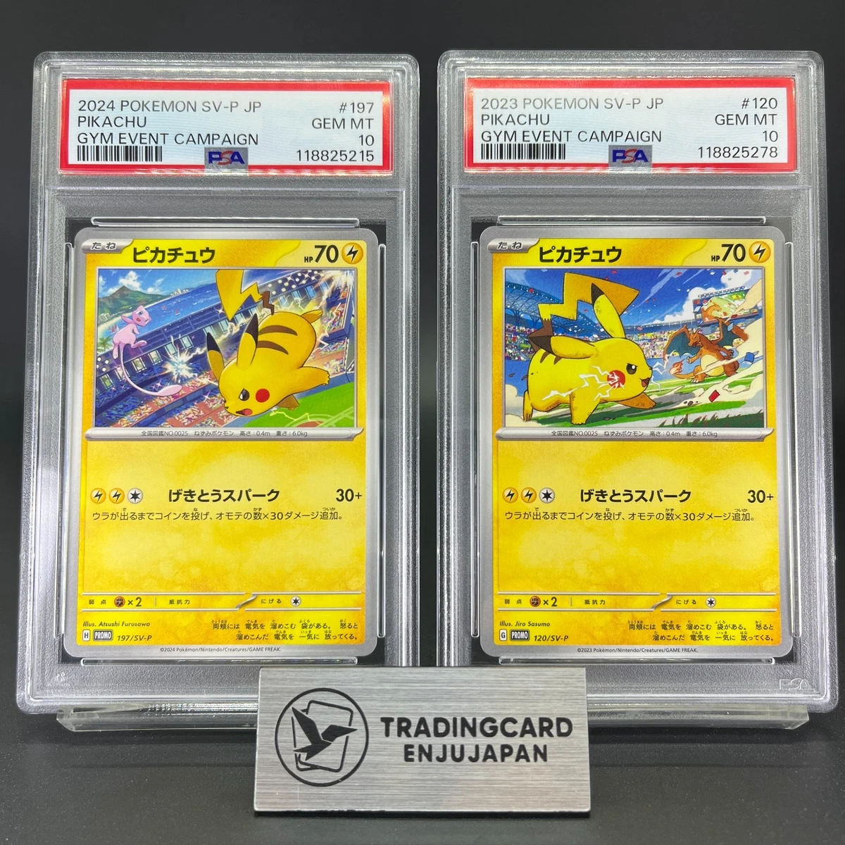 Pikachu Pokémon TCG Professional Sports Authenticator (PSA