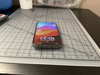 Apple iPhone 13 Pro - 1 TB - Graphite (Unlocked) for sale online