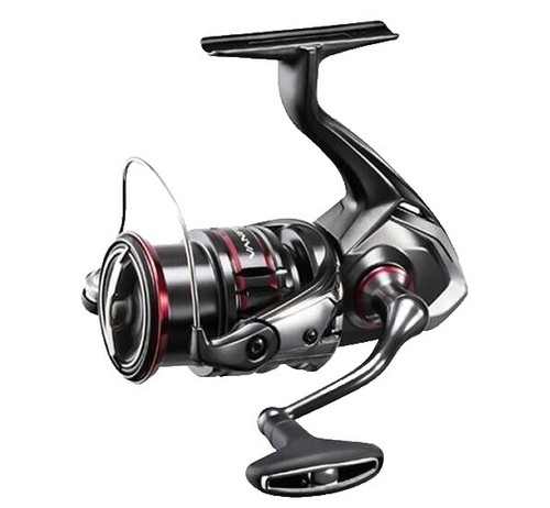 Shimano Barchetta BB 150DH-HG Right-Handed Spinning Reel 2021