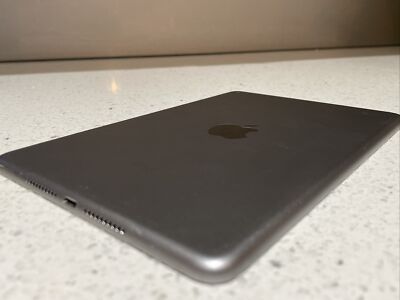 Apple iPad mini 4 128GB, 7.9in WiFi- A1538 Space Grey AU Stock | eBay