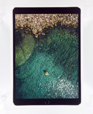 Apple iPad Pro (10.5-inch) A1709 256 GB, Wi-Fi + 4G, 10.5 in