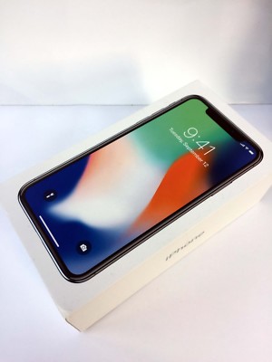 Original iPhone X box only 64GB 256GB Space Gray Silver | eBay