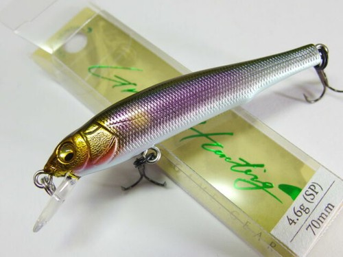 Megabass POP-X (SP-C) YAMATO TAMAMUSHI (M) | eBay UK