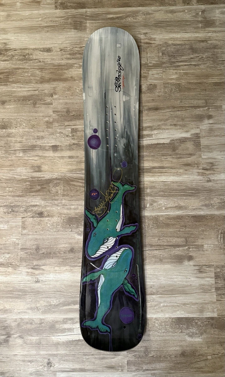 Jamie Lynn Snowboard | eBay