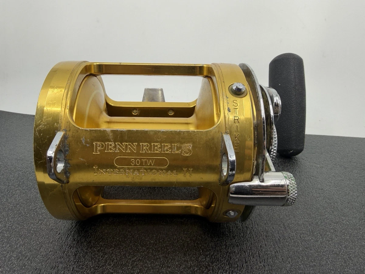 Penn International 30tw | eBay