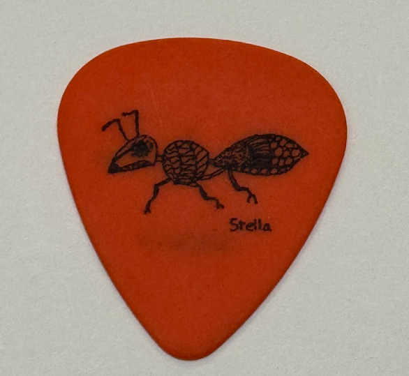 Dave Matthews Band Tour Signature Guitar Pick Concert Stage Stella
