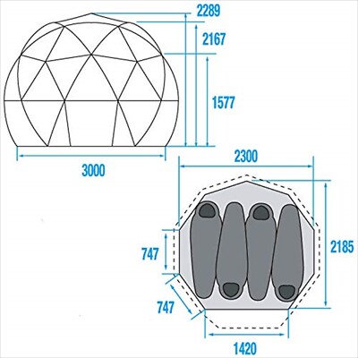 THE NORTH FACE Geodome 4 Tent with Footprint NV21800 Saffron