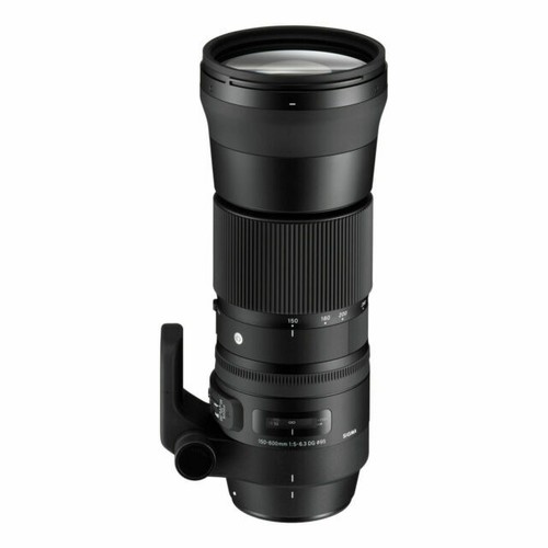 Sigma 150-600mm F5-6.3 DG DN OS Leica L Mount Zoom Full Size