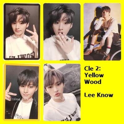 Stray Kids photocard album Yellow Wood Official Photo card