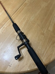 Quantum Tour Edition Rod | eBay