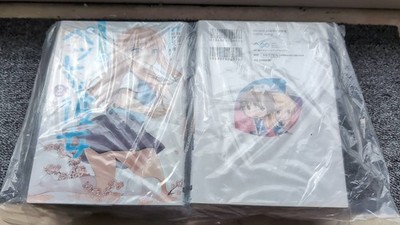 Yoko Oginome Dancing Colors Store Listings Japanese Import | eBay