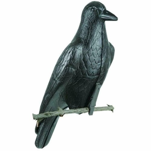 Mad Crow Squid Mania Livre Shimano S2 Japan Ship | eBay