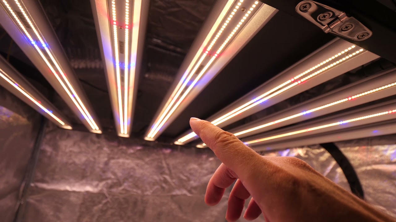 OPTIC LED SLIM 650S REVIEW AFTER 1ST GROW - YouTube