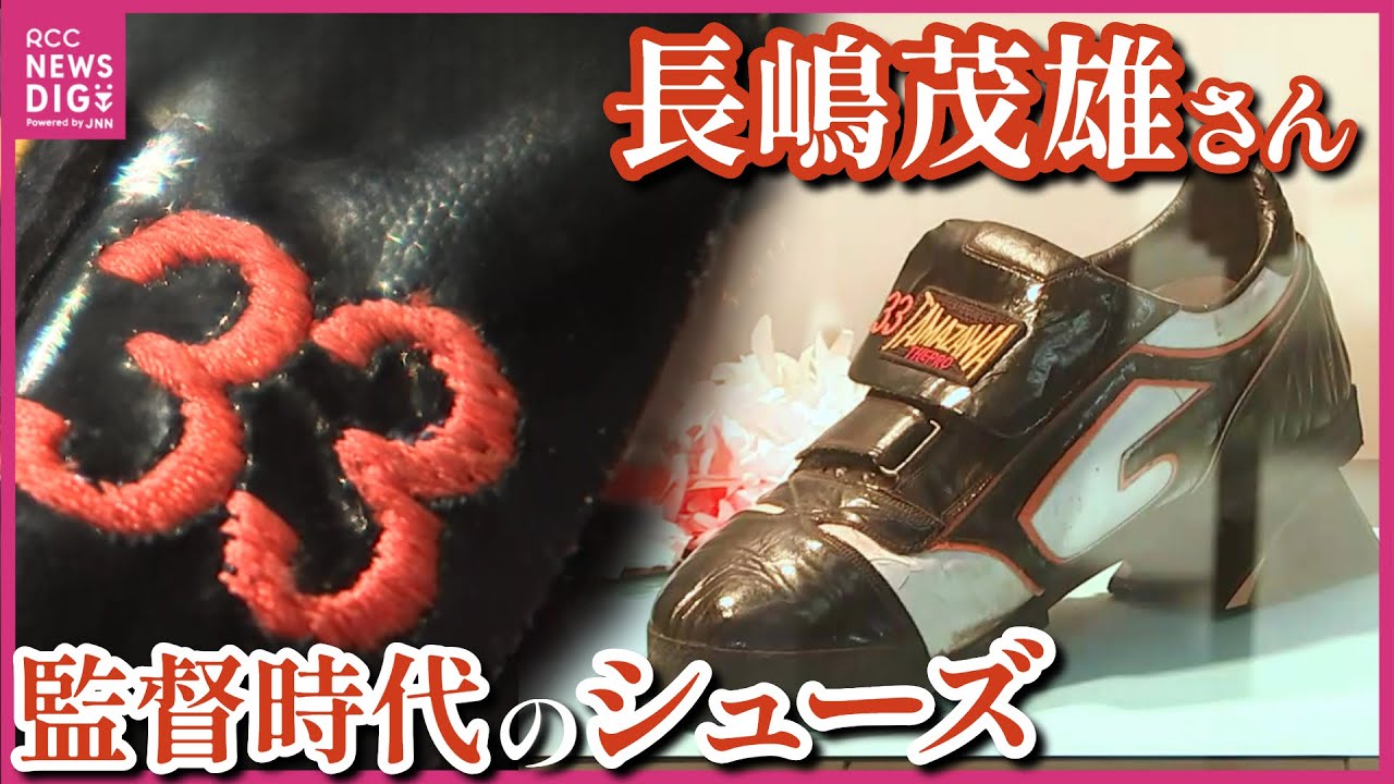 Mr. Professional Baseball