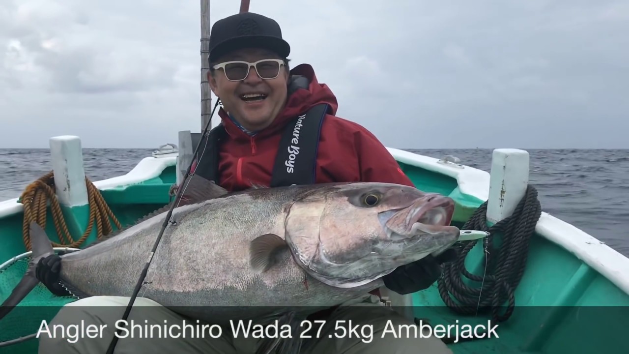 IRONWILL595W/アイアンウィル595W IWPS-595W+PF ‣ ネイチャーボーイズ