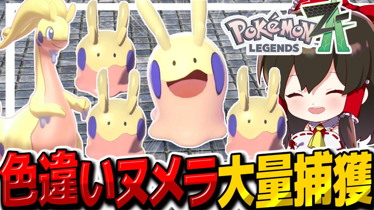 Legends ZA] I easily caught a shiny Oyabun! I was so happy to get