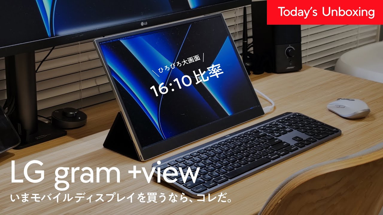 Definitive Edition] If you're looking for a mobile display, the LG