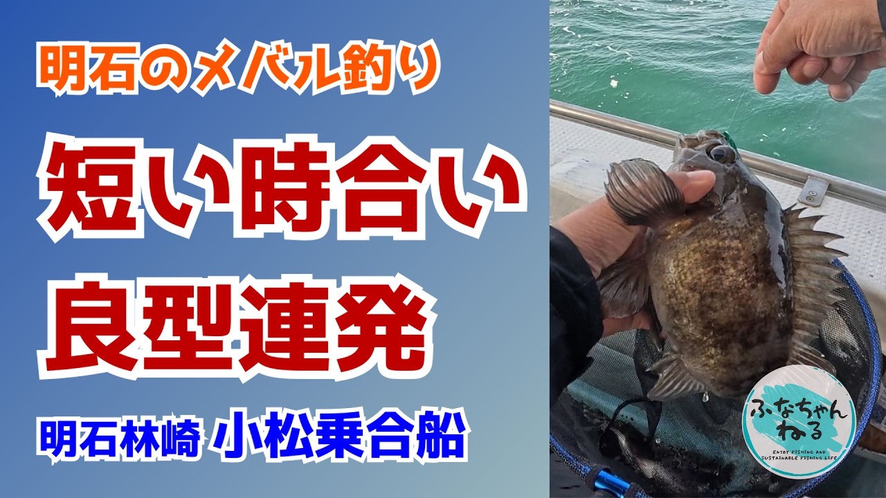 Rockfish] A series of shots caught in the silence of rockfish