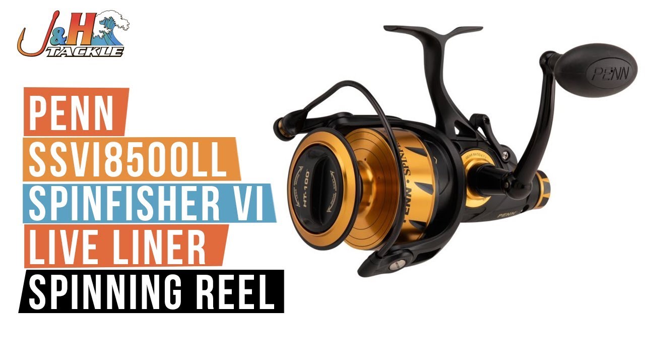 Penn SSVI8500LL Spinfisher VI Live Liner Spinning Reel | J&H