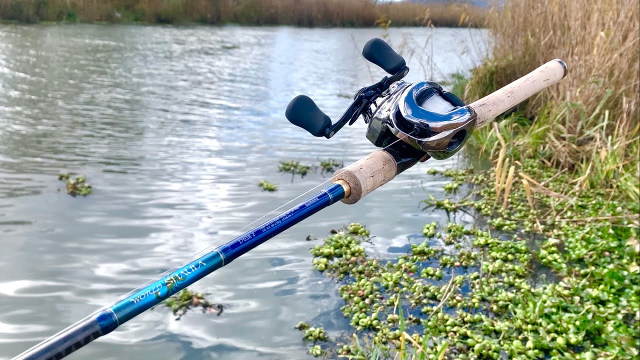 始まりは青】ワールドシャウラ1703R-2 ブルーモデルを簡単インプレ