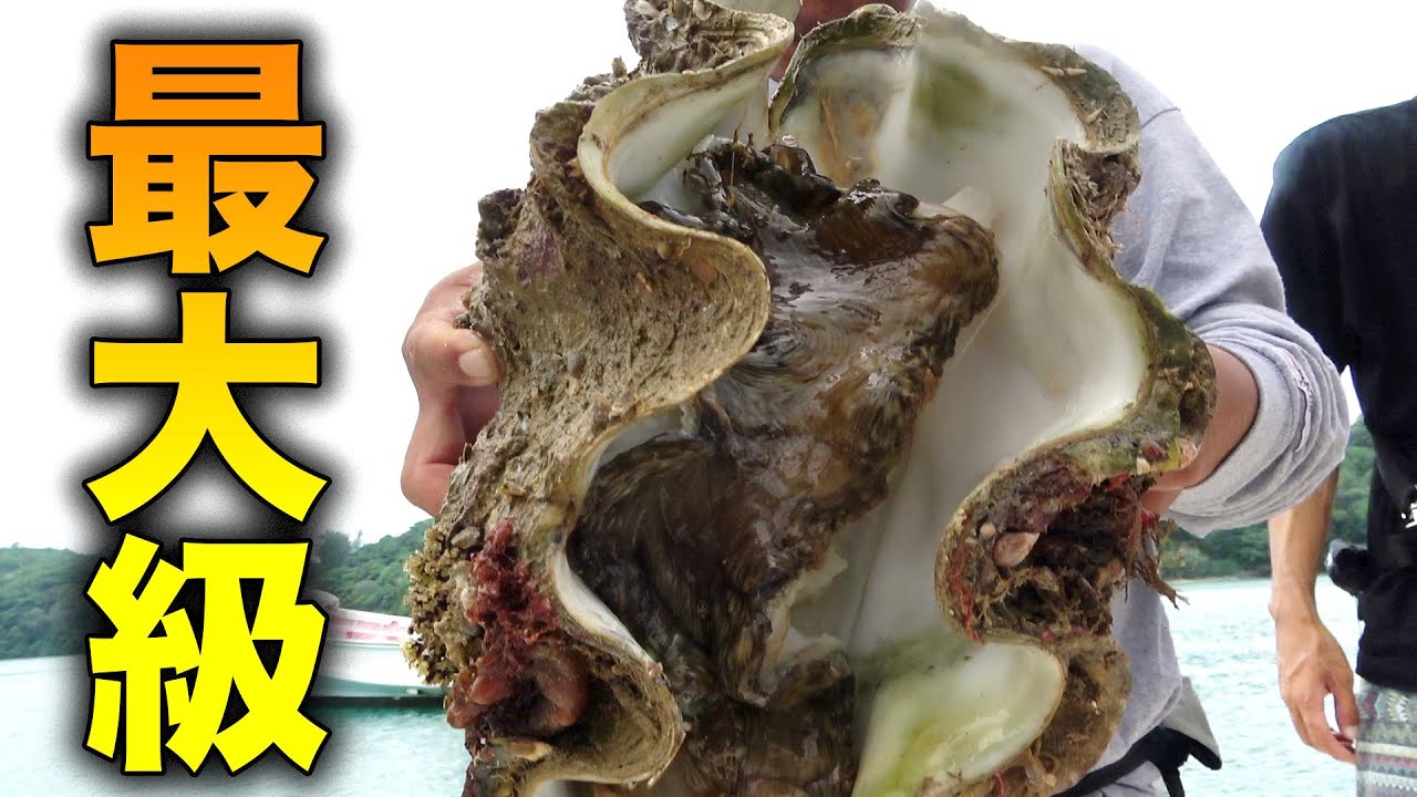 Eat that giant mantis shell thing! - YouTube