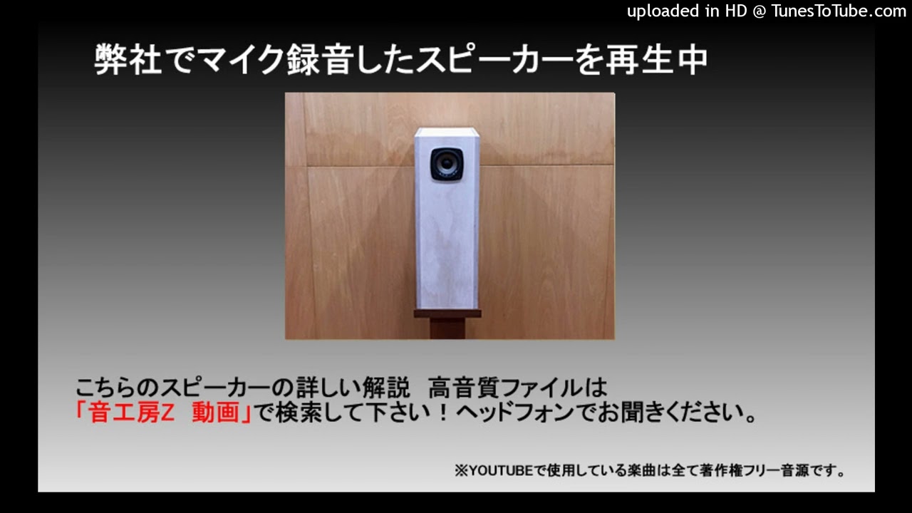 Z702-Modena（V6）| 音工房Z