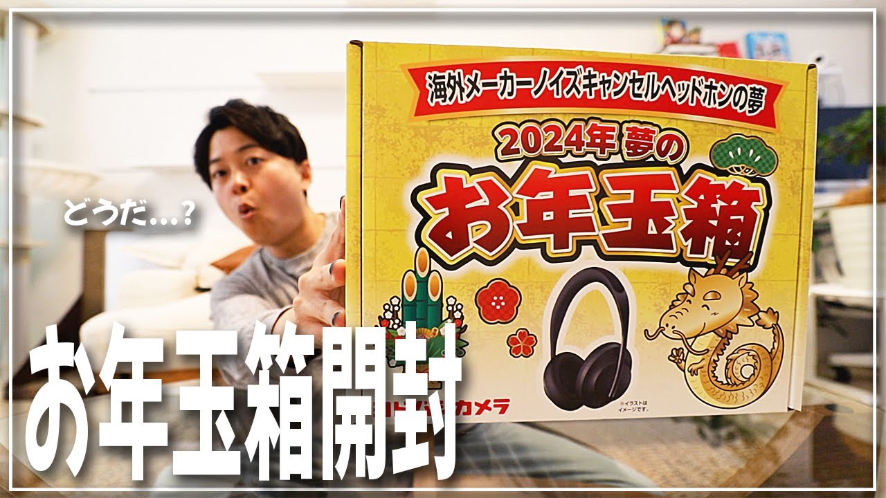 ヨドバシ2024年「海外メーカーノイズキャンセルヘッドホンの夢」が