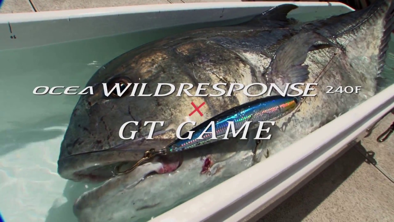 オシア ワイルドレスポンス 240F × トカラGT GAME - YouTube