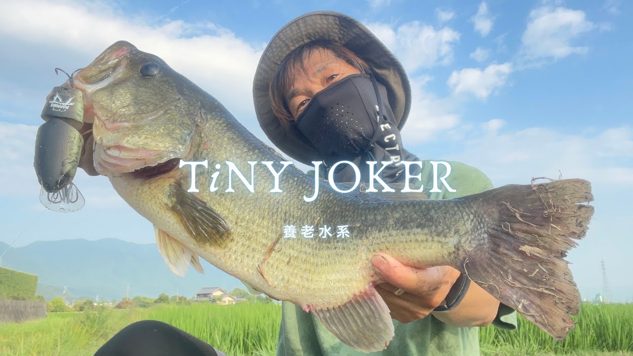 DRT】TiNY JOKER / タイニージョーカー POPPING（DRT BASS） - YouTube