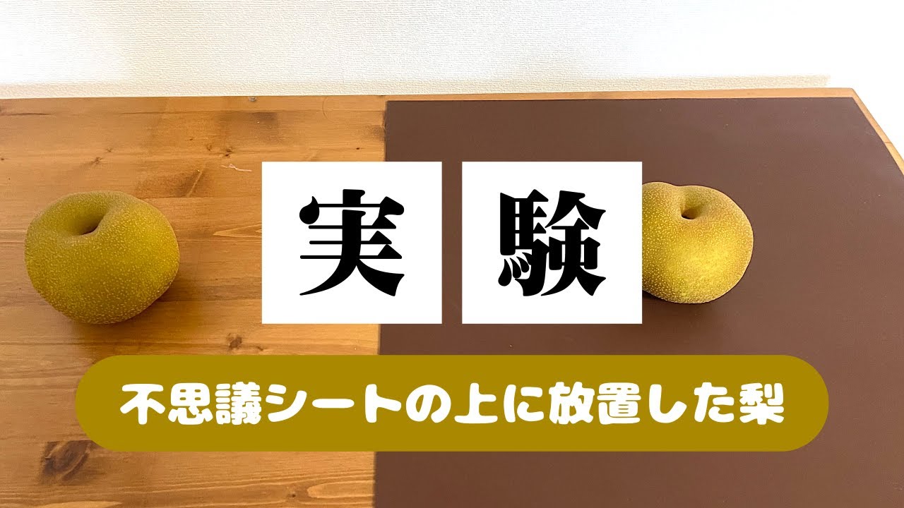 不思議シート (ミニ) 約10cm角 【BL研究所 オンラインショップ】