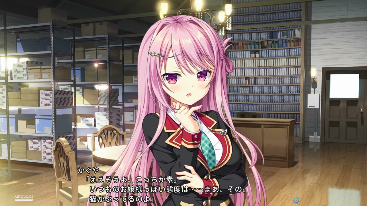 有瀬かぐや（ありせかぐや） CV：夏和小 『AMBITIOUS MISSION