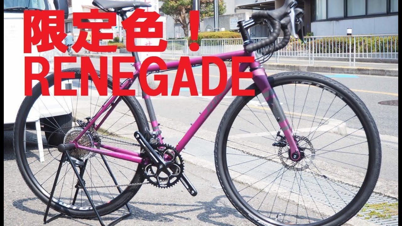 JAMIS RENEGADE EXPAT LTD(ジェイミス レネゲード エキスパット