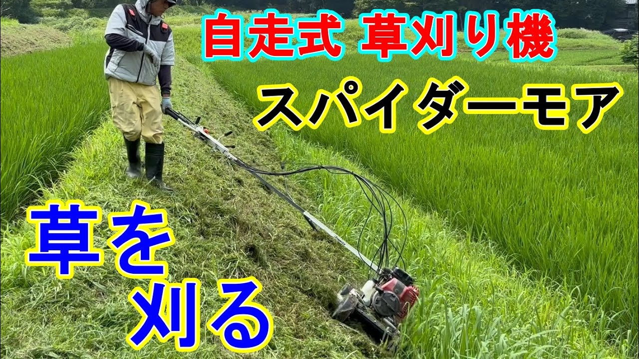 草刈りでスッキリ】スパイダーモアで自走しながら雑草を刈ってみた