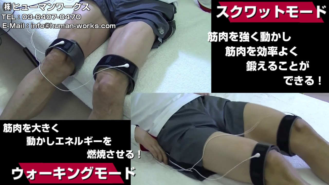 パルストレーナー 3DEMS® PULSE Trainer