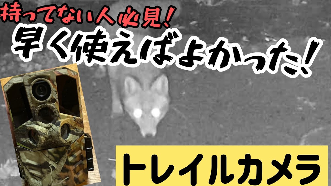 狩猟】トレイルカメラの使用感ってこんな感じ - YouTube