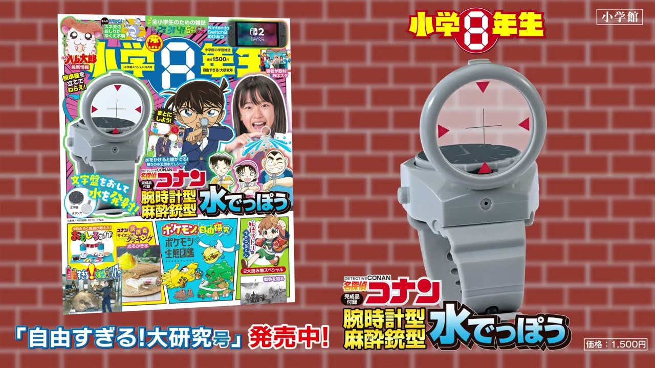 Official] Elementary school 8th grade 