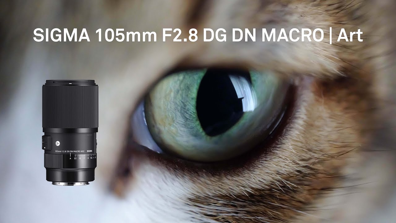 日常さえも想像以上：SIGMA 105mm F2.8 DG DN MACRO | Art - YouTube