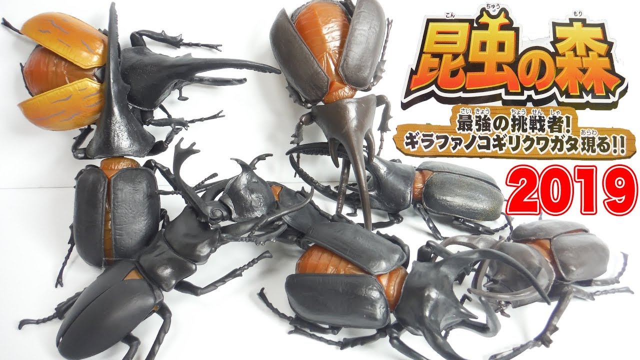 2019 昆虫の森 最強の挑戦者!ギラファノコギリクワガタ現る!! 全8種