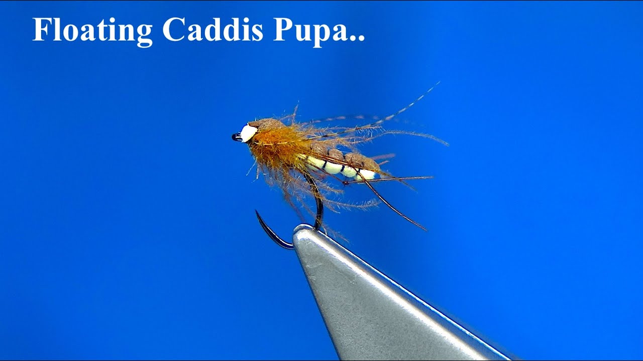 Floating Caddis Pupa | Global FlyFisher
