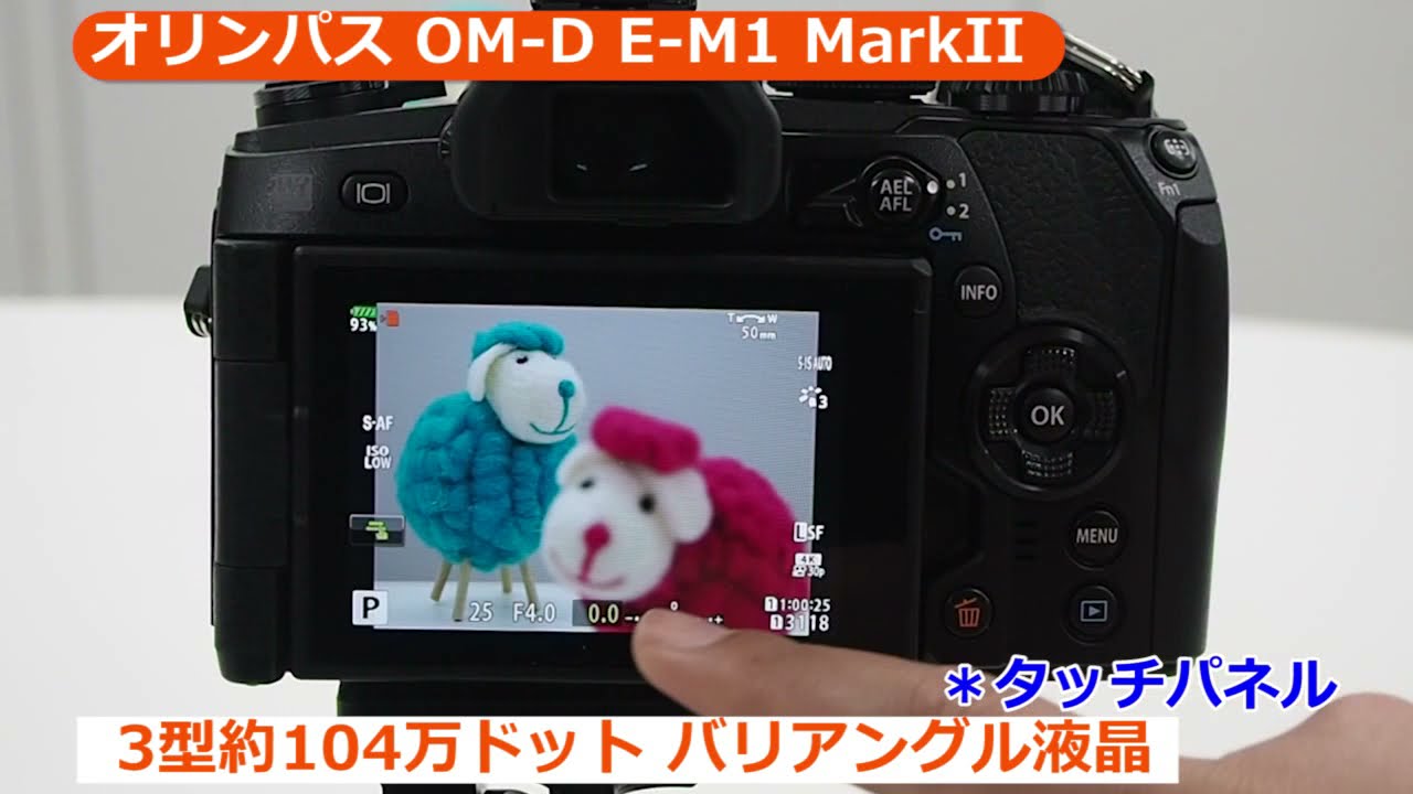 オリンパス OM-D E-M1 MarkII ボディ シルバー | ミラーレス一眼