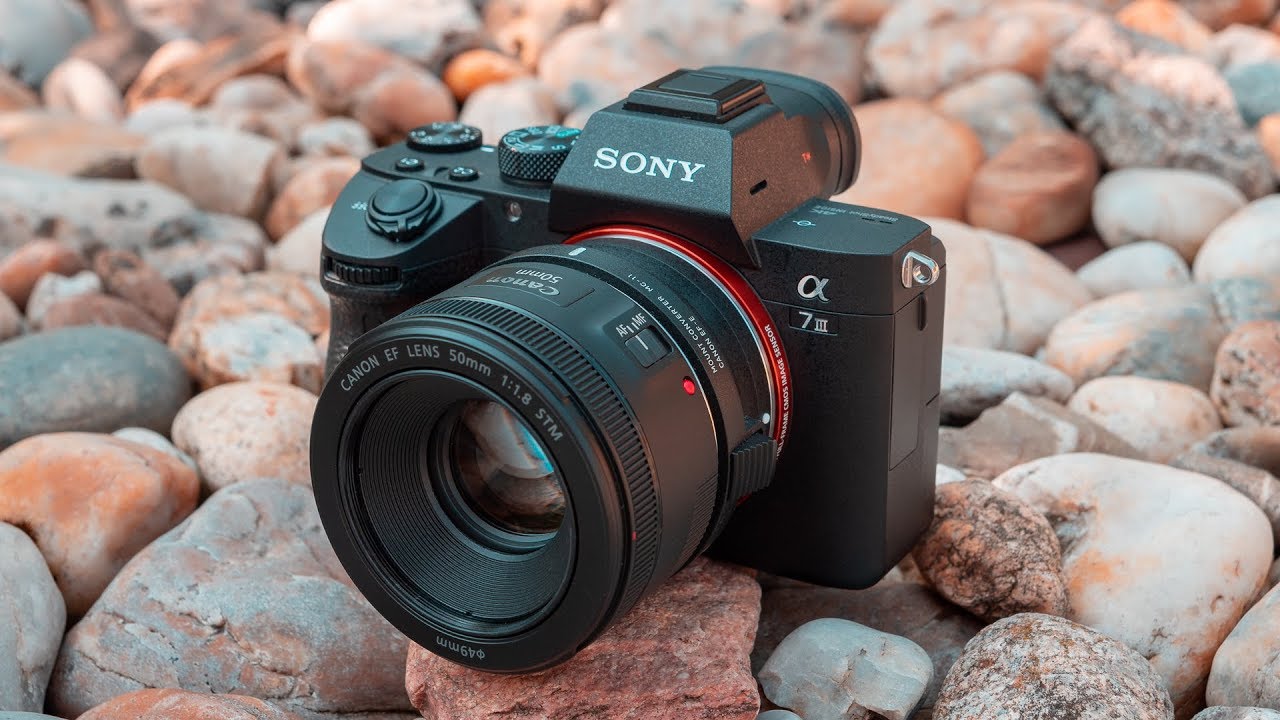 Canon 50mm F1.8 STM Tested w/ Sony A7III + Sigma MC-11 - YouTube