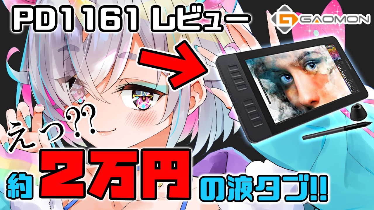 2万円の激安液タブの性能、使い勝手はどうなの？【PD1161レビュー