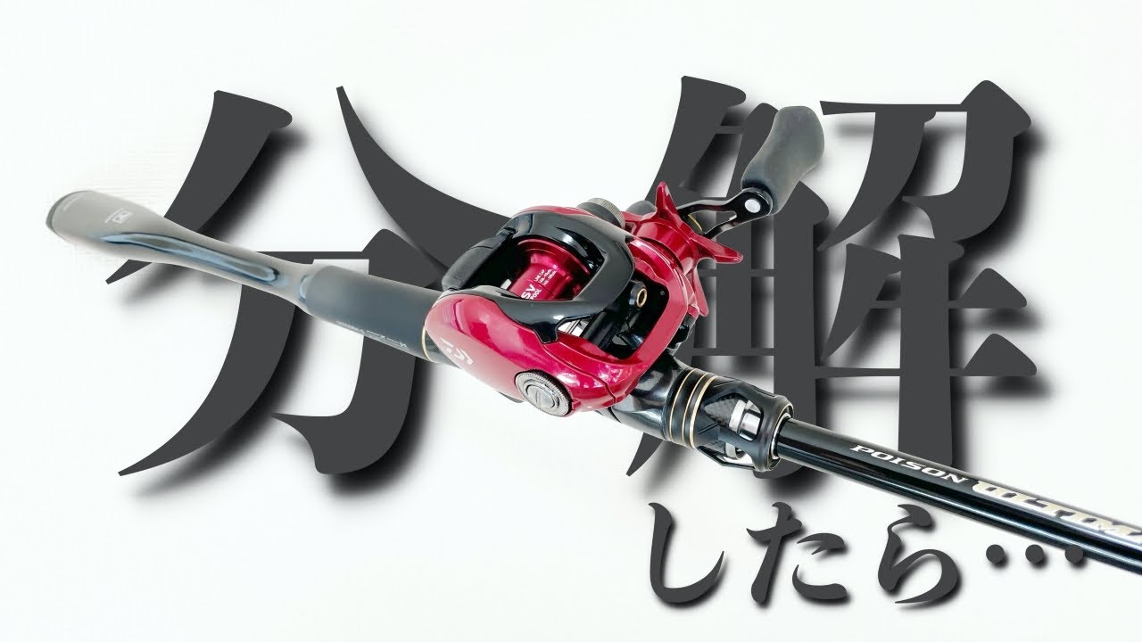 The result of disassembling the red version of the Tatula SV